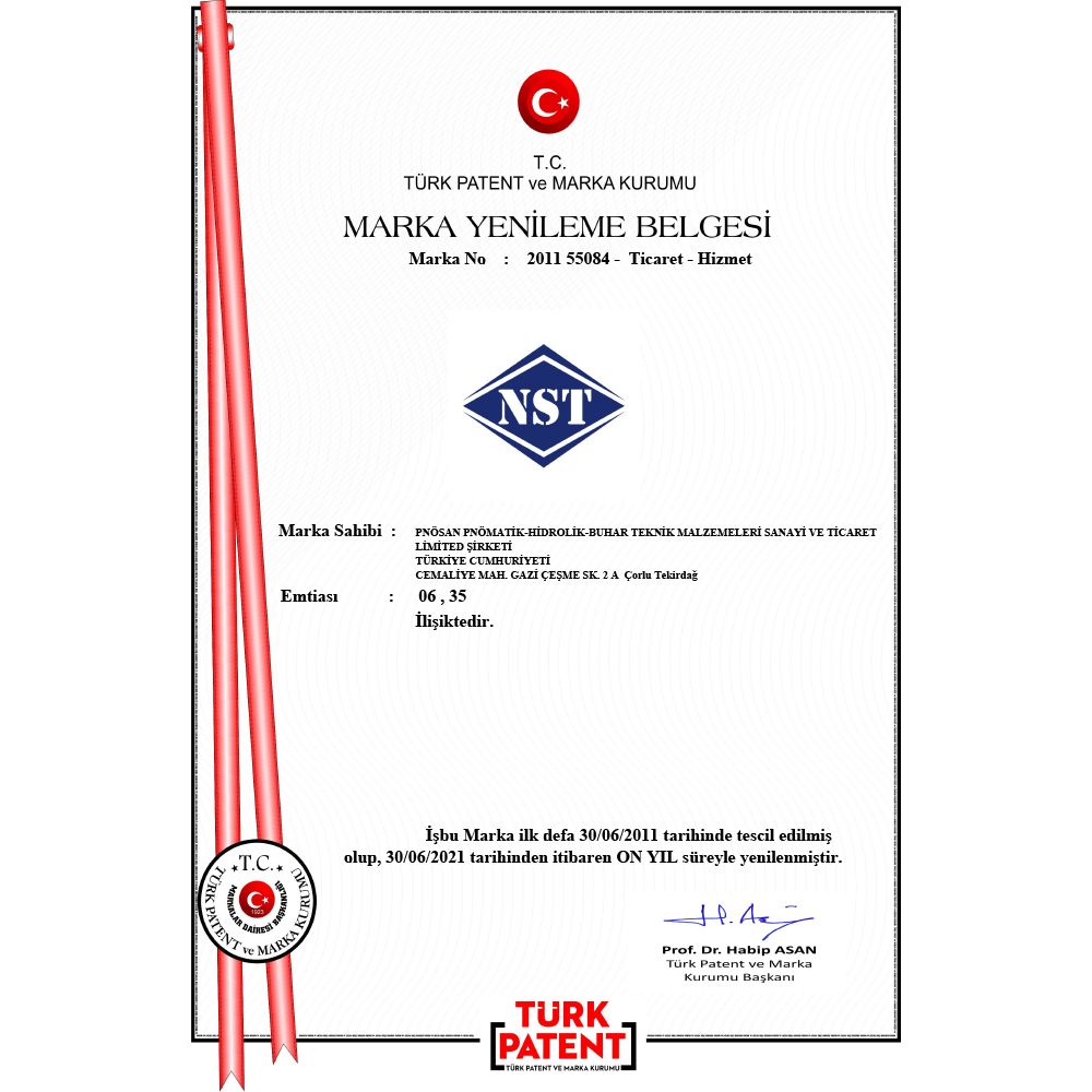 Сертификат Брендa - NST